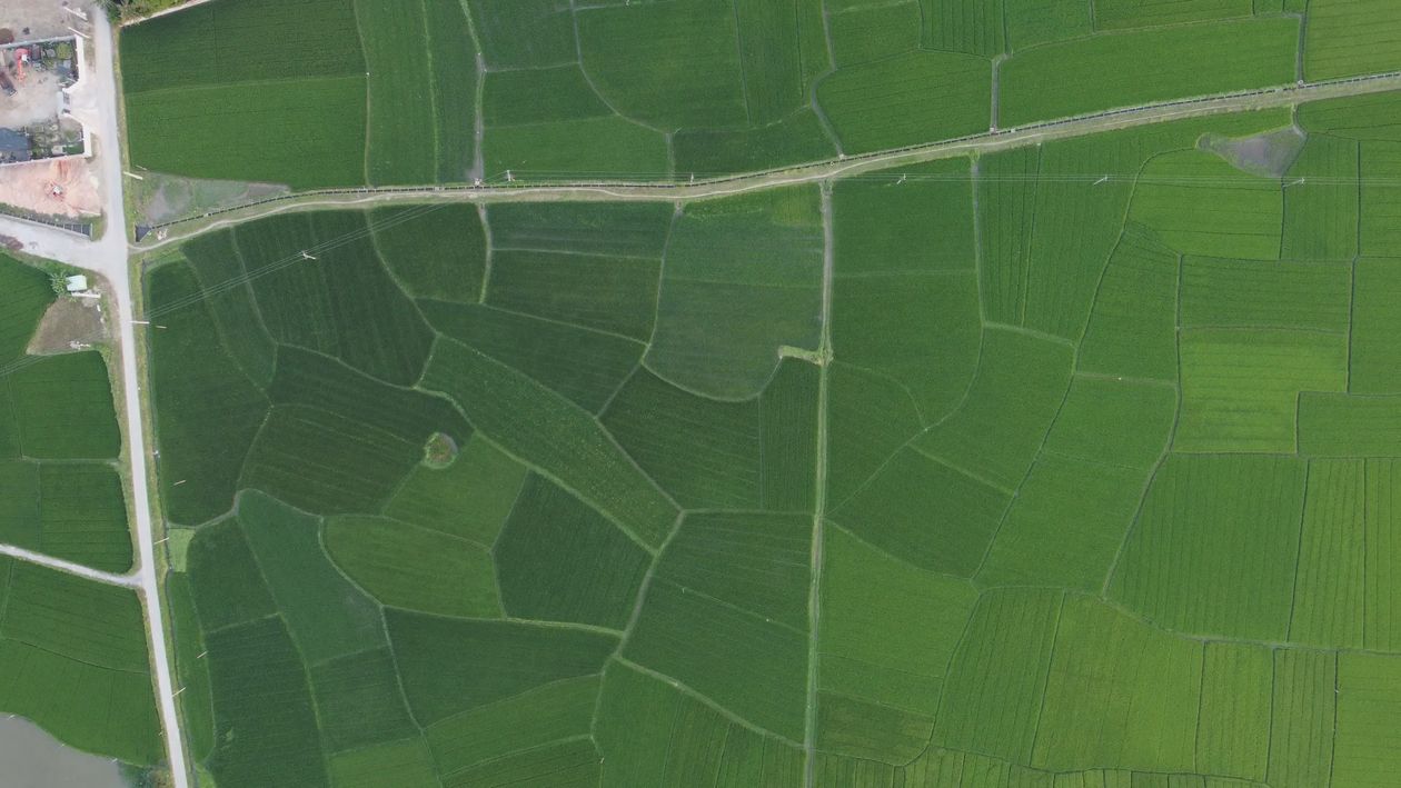 Aerial View of Lush Green Fields and Roads Free Stock Video Footage ...