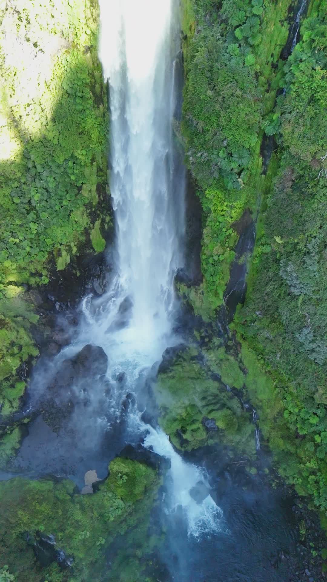 Breathtaking Waterfall in Lush Green Forest Free Stock Video Footage ...