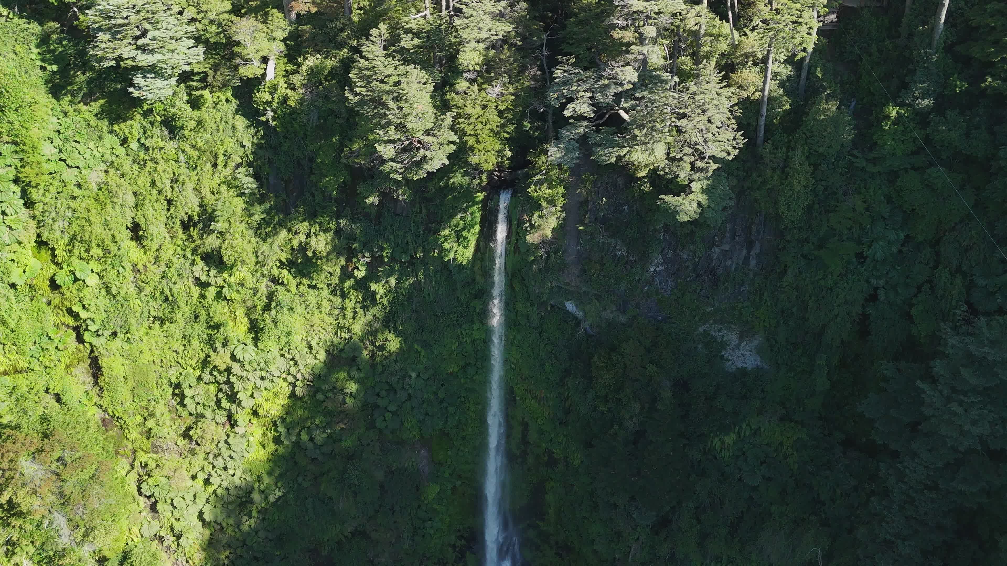 Aerial View of Hidden Forest Waterfall Free Stock Video Footage ...
