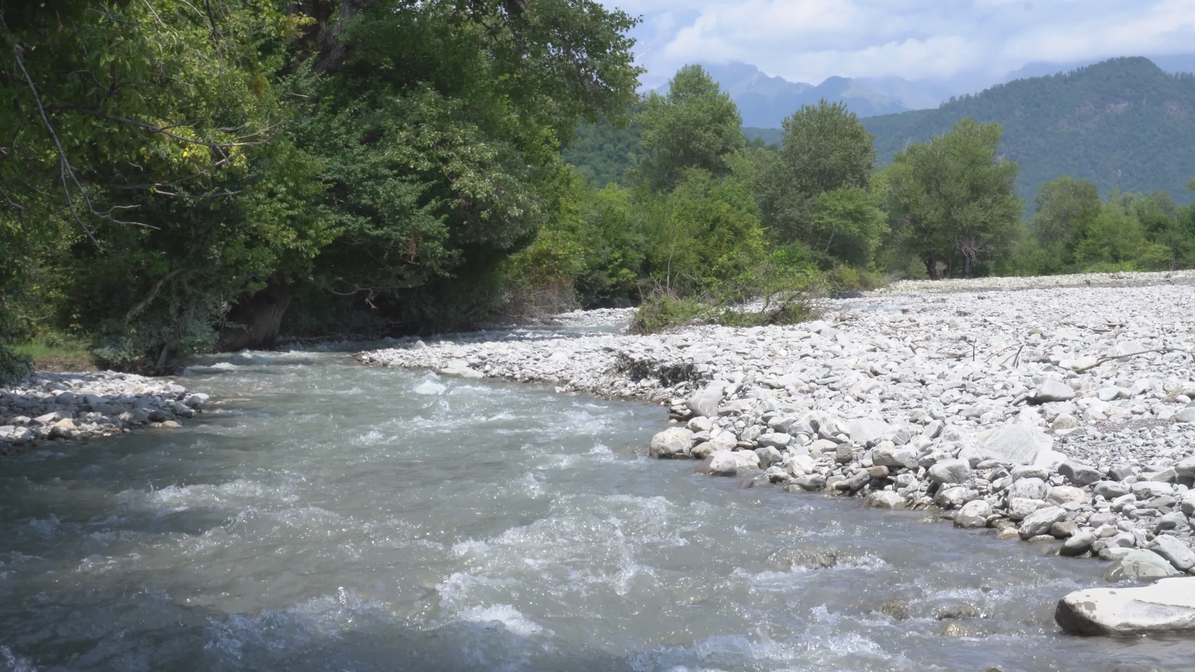 Mountains Trees Videos, Download The BEST Free 4k Stock Video Footage ...