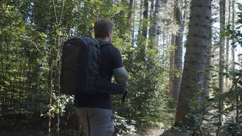 A Man With a Backpack Hiking A Forest