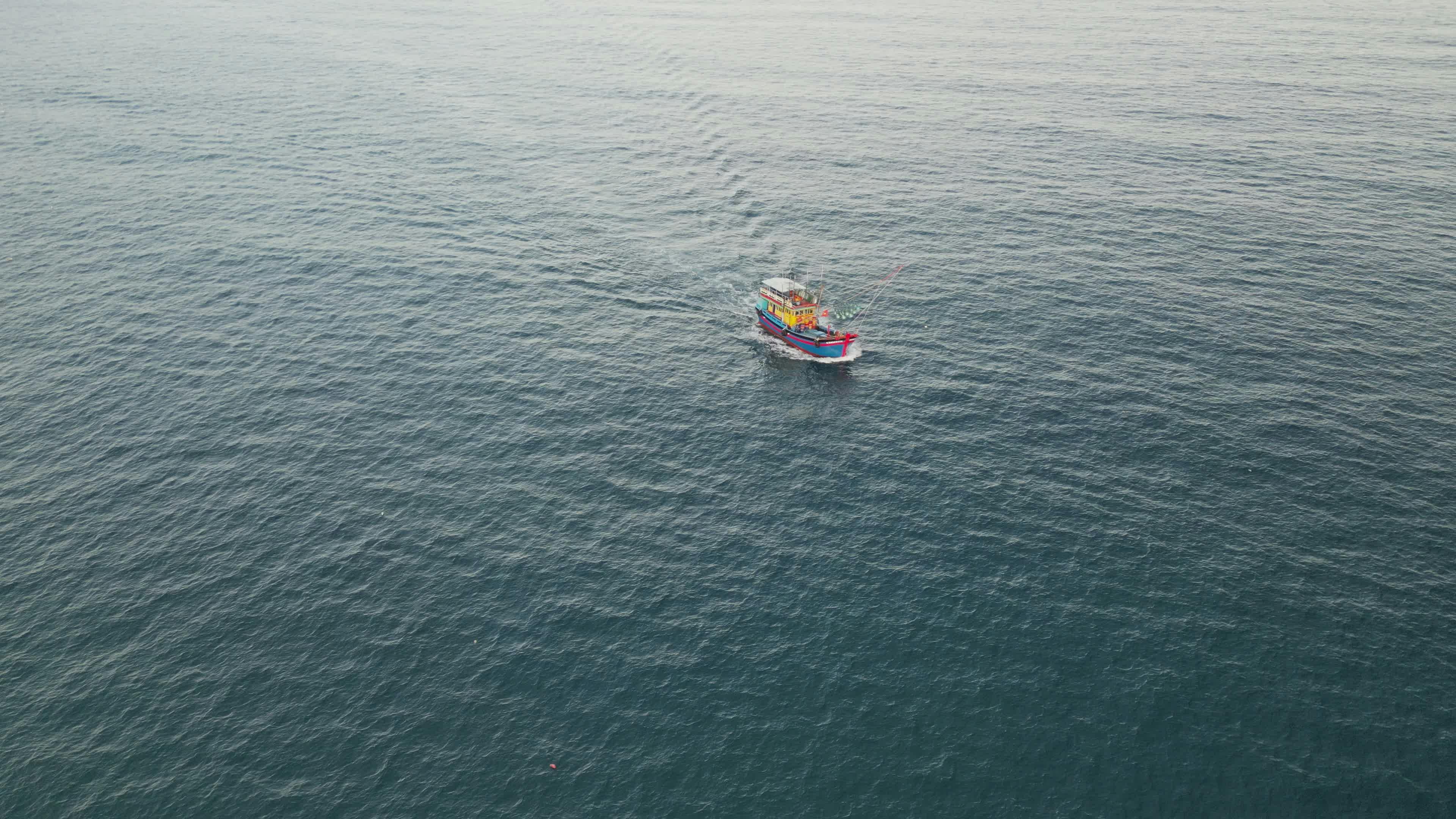 Video by Hữu Thịnh 79