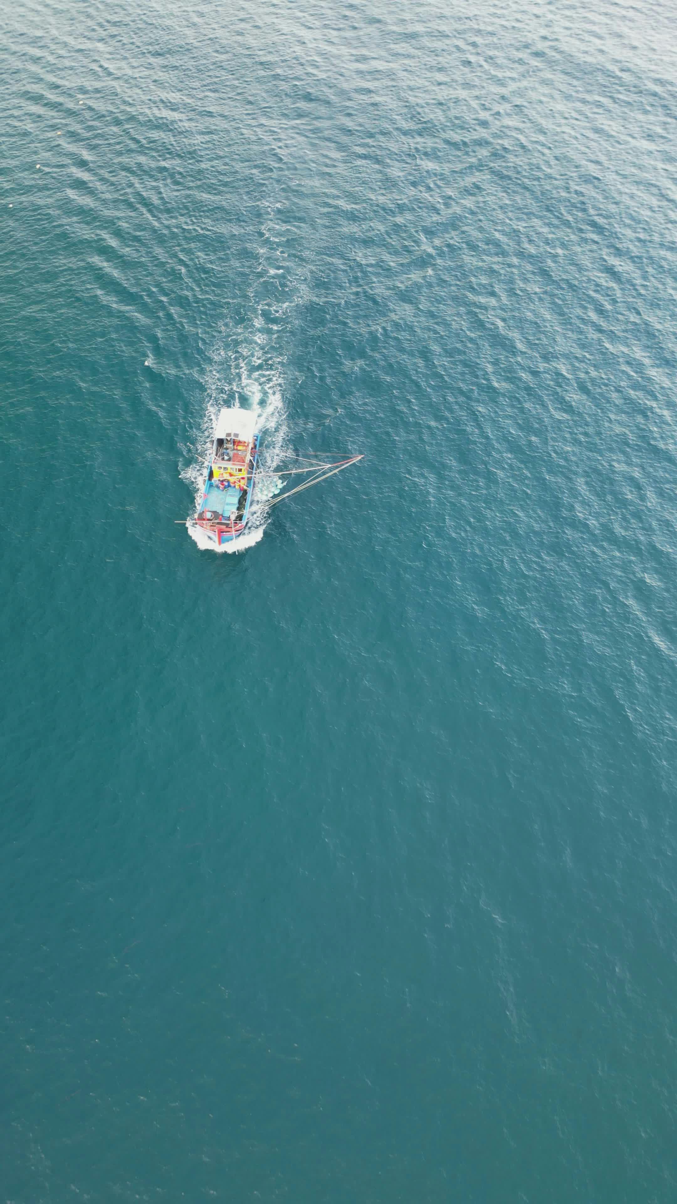 Video by Hữu Thịnh 79