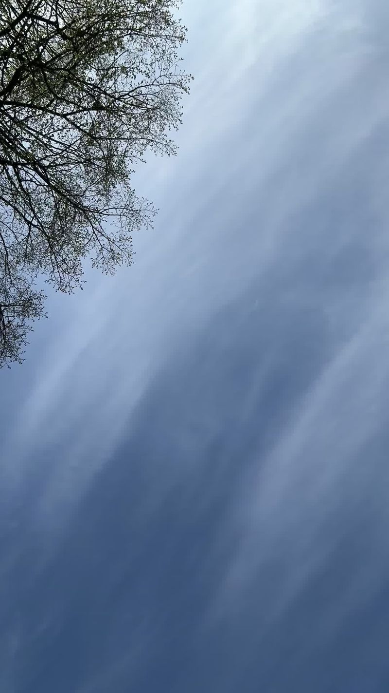 Blue Sky Videos, Download The BEST Free 4k Stock Video Footage & Blue ...