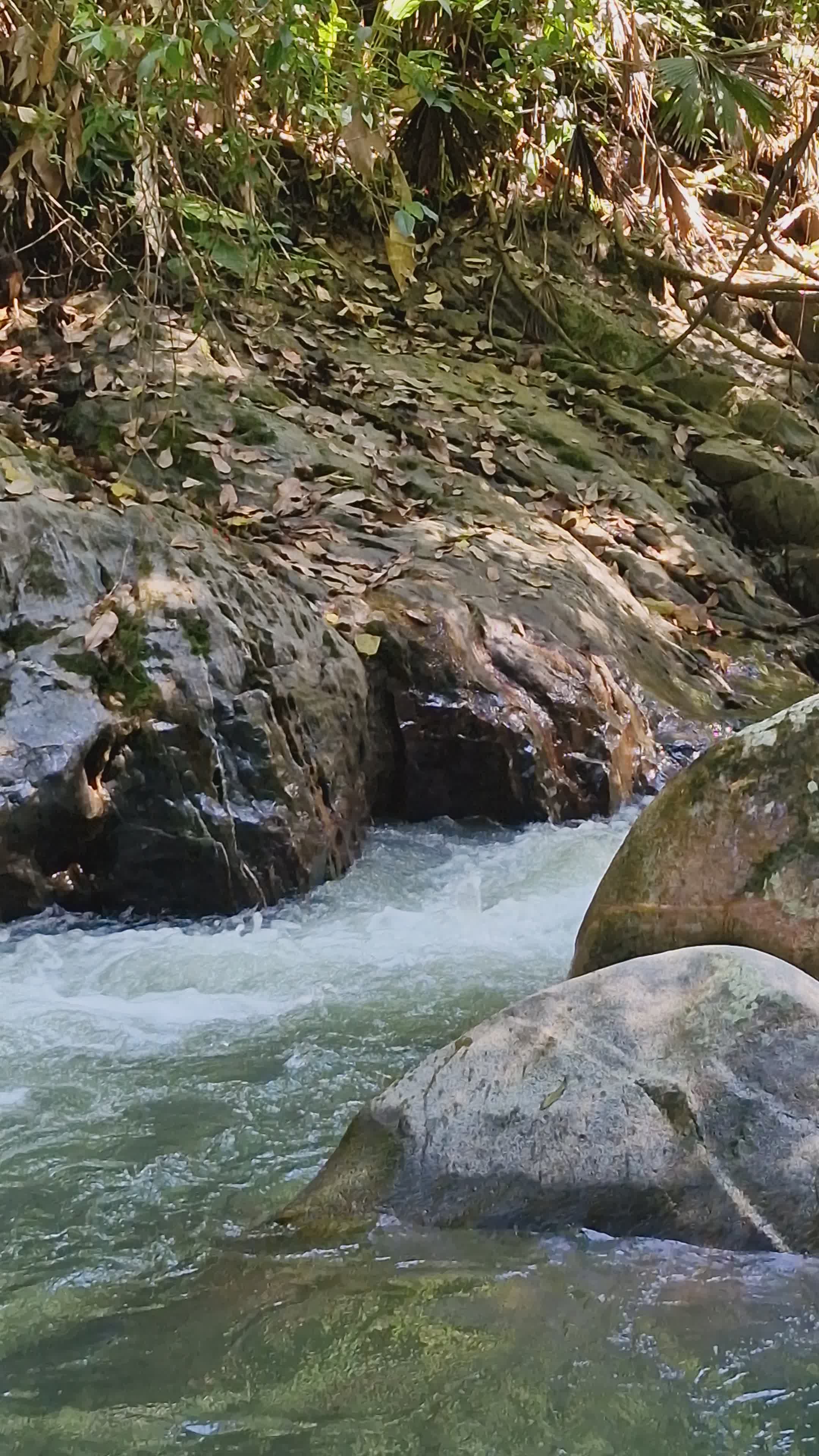 serene mountain stream flowing over rocks 31643898 — free pexels stock footage