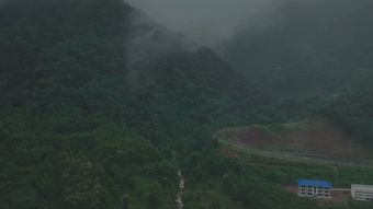 自然视频视频素材