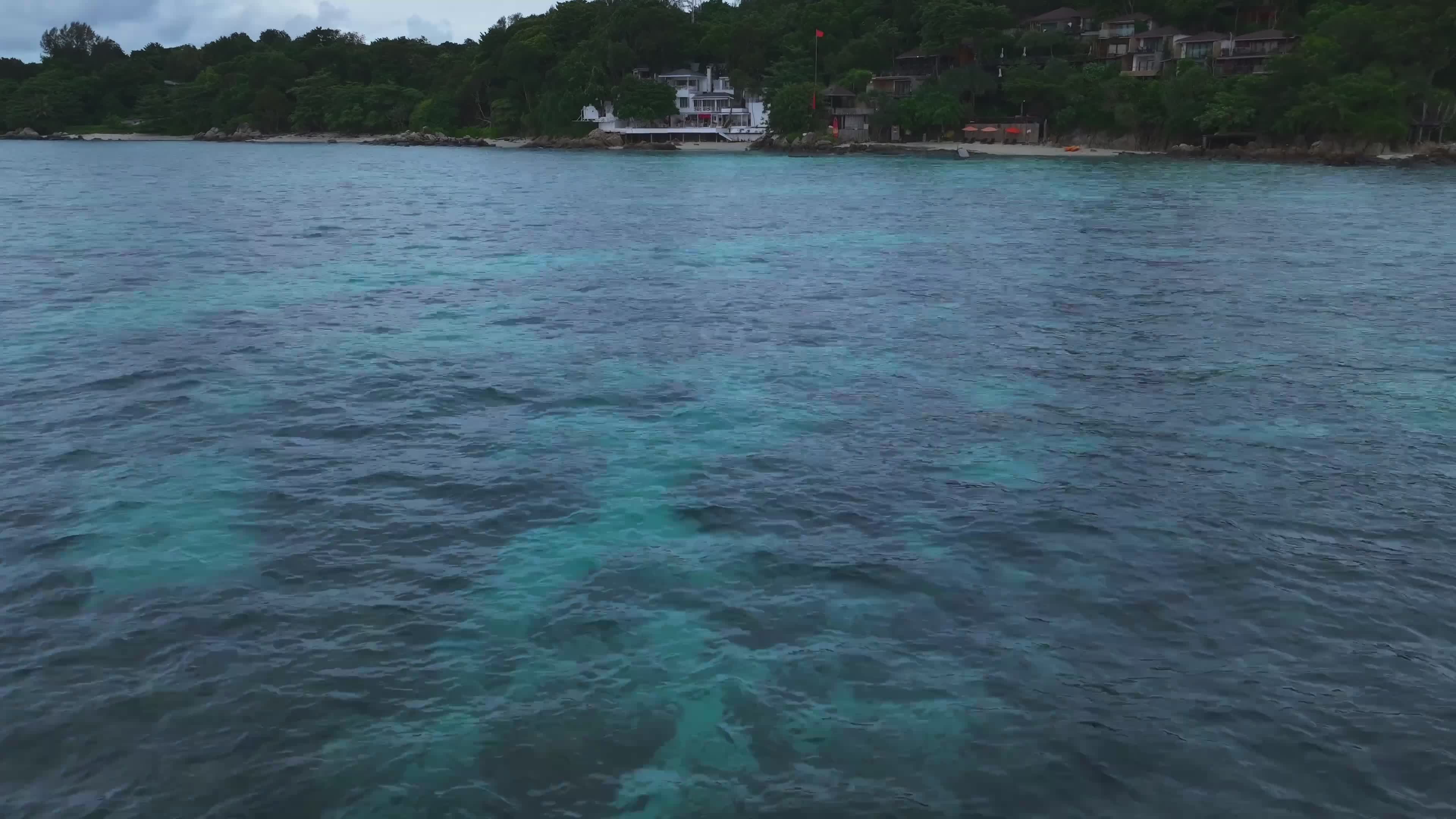 Aerial 4K Nature Footage of Coastal Forests and Beach Free Stock Video ...