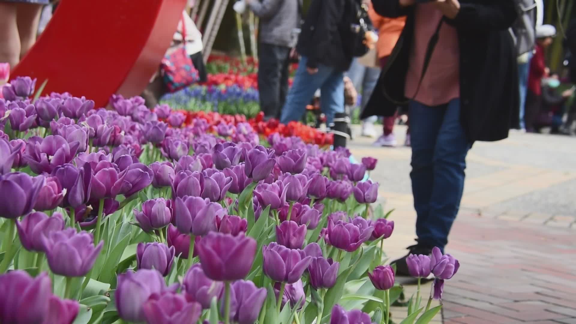 Gradian Color Videos, Download The BEST Free 4k Stock Video Footage ...