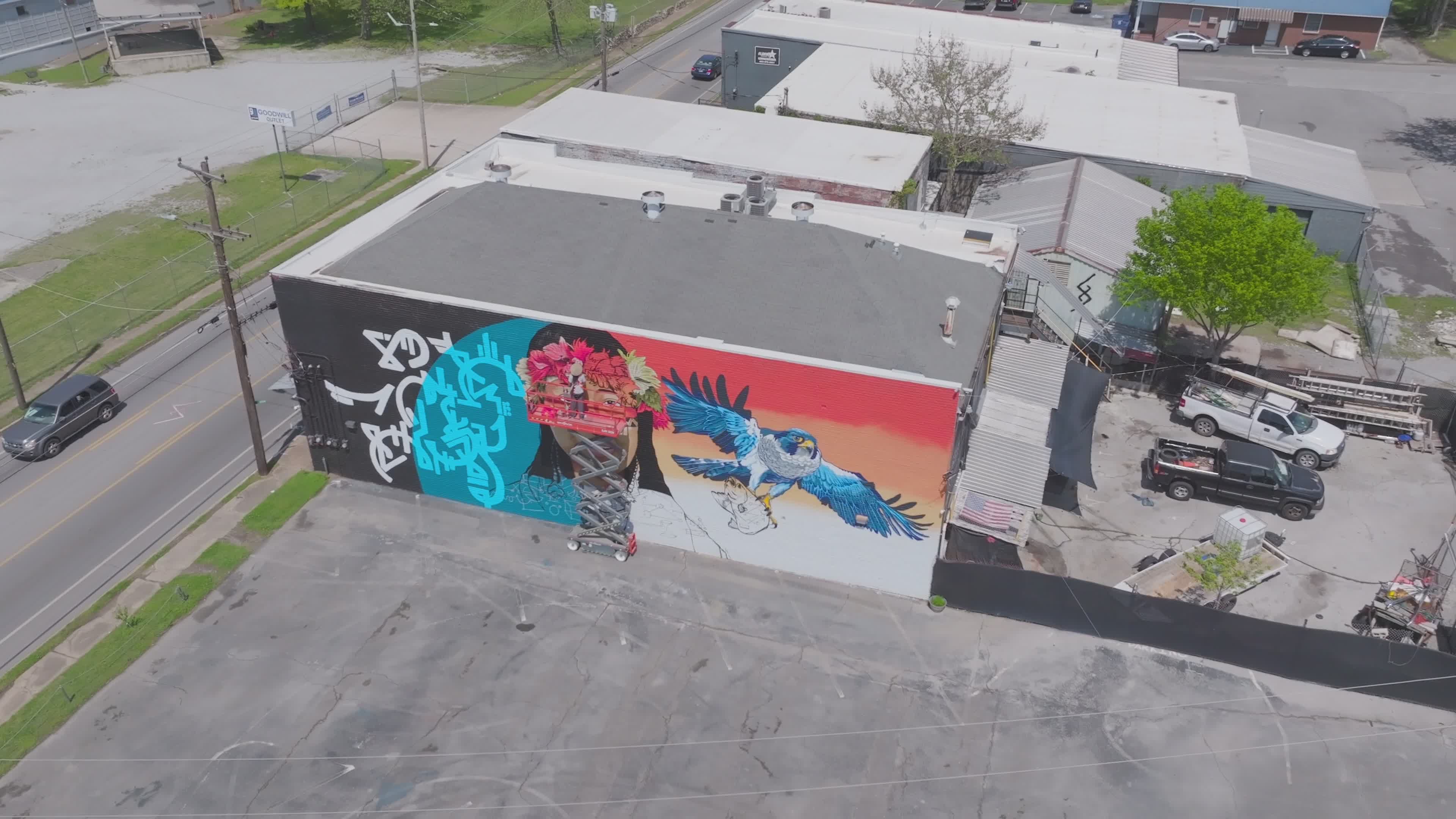 Mural Artist video