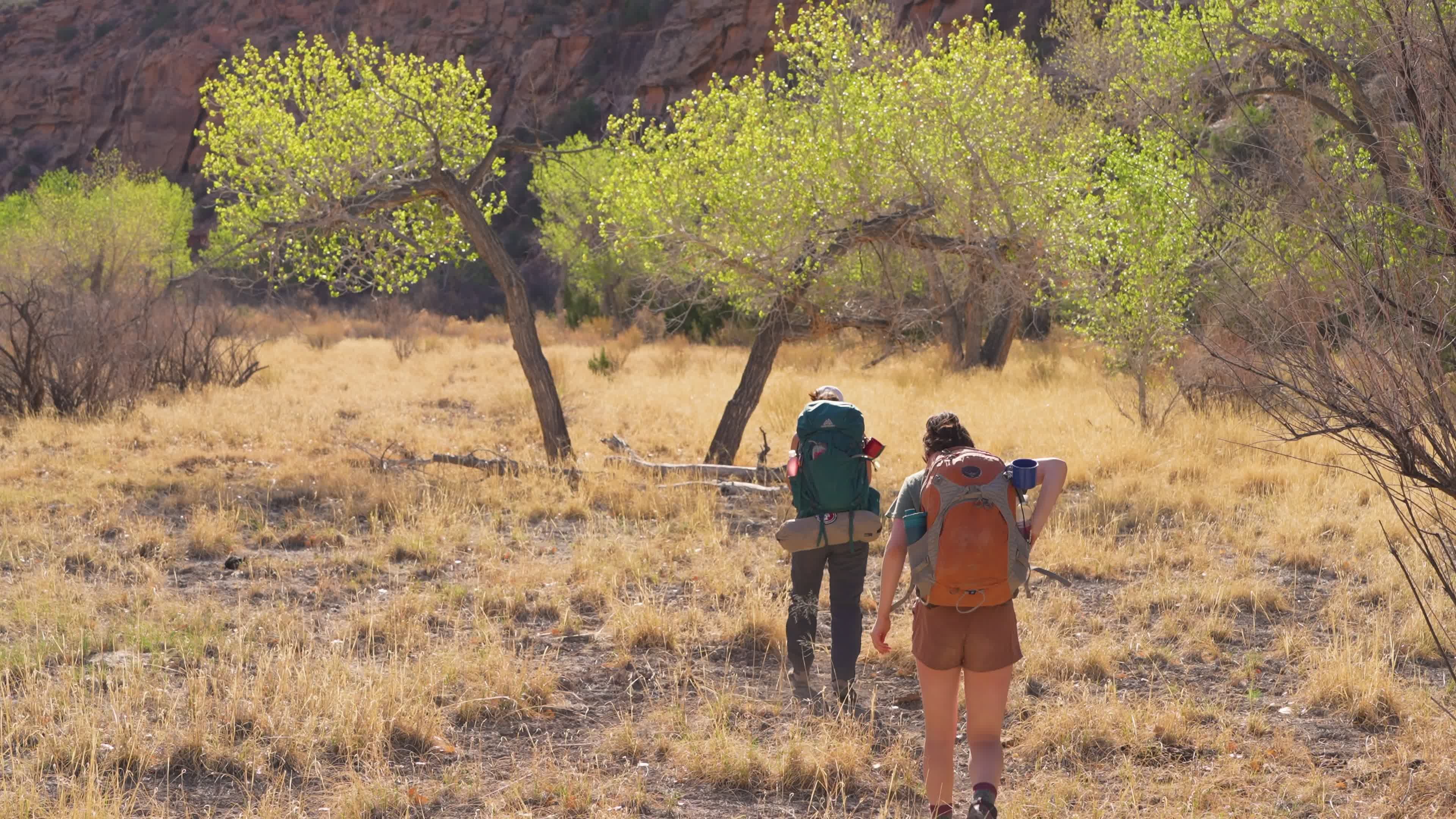 Exploring the Wilderness: Spring Hike Adventure Free Stock Video ...