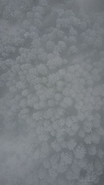银耳羹免费下载免费下载视频素材