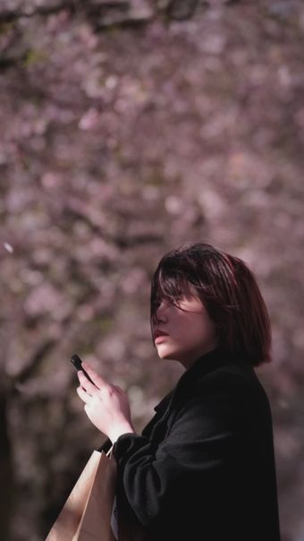 樱花竖屏免费下载视频素材
