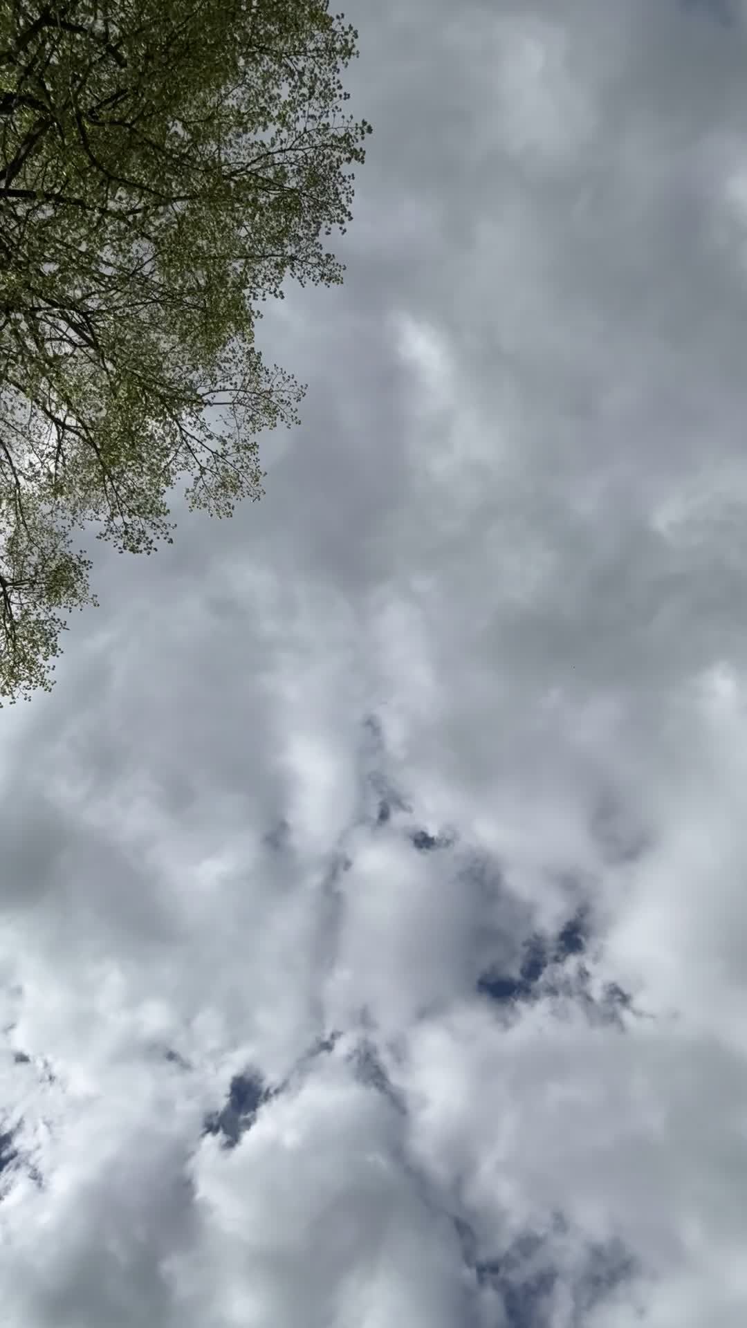 Timelapse of Fluffy Clouds in Blue Sky Free Stock Video Footage ...