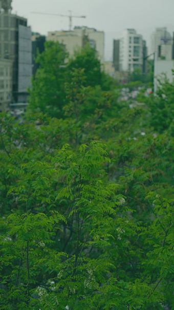 蜘蛛侠免费下载免费下载免费下载视频素材