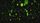 binary code