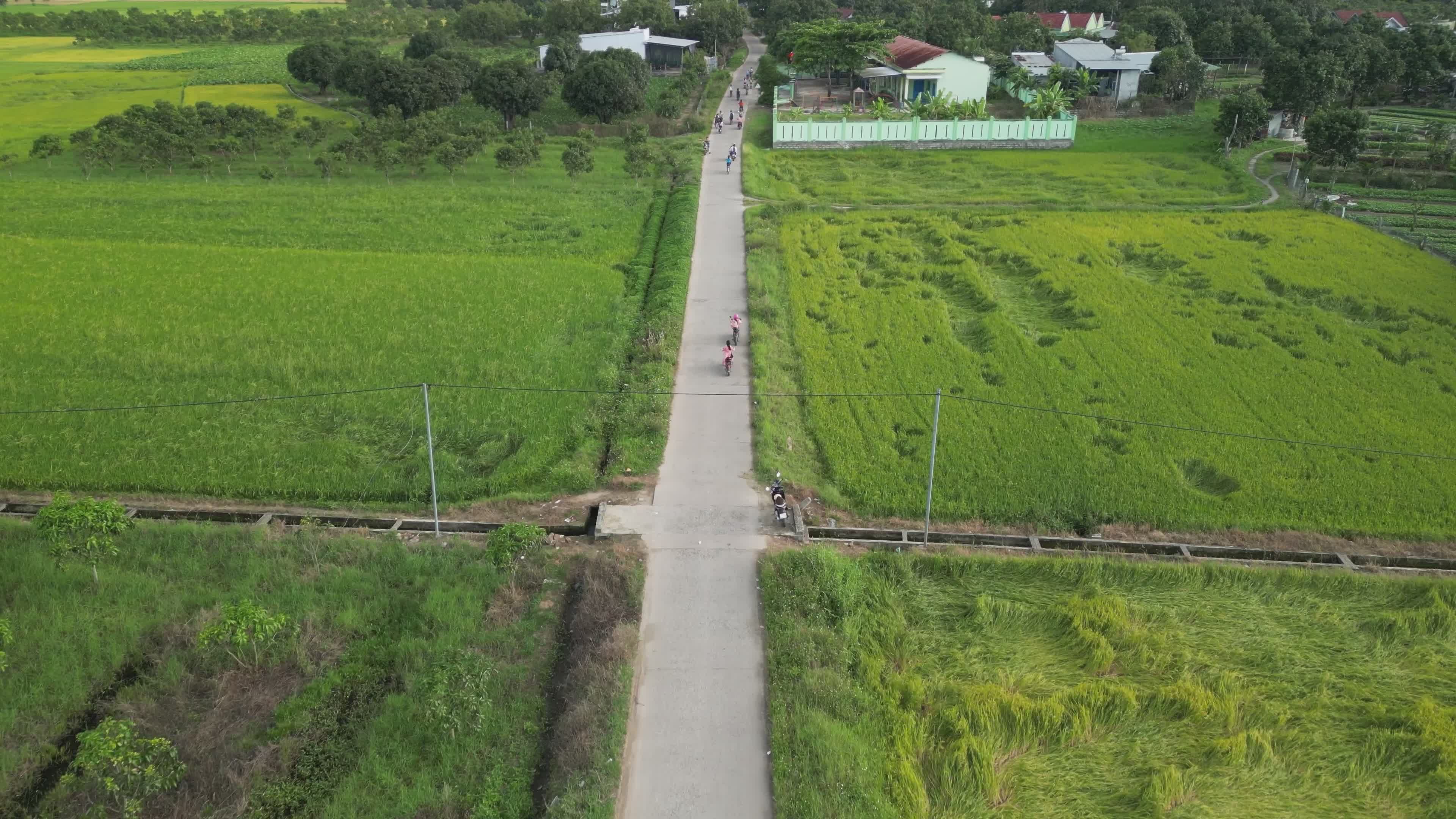 Aerial View of Rural Road and Lush Green Fields Free Stock Video ...