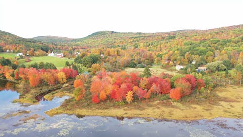 Vista Aérea De Un Campo Con árboles En Otoño