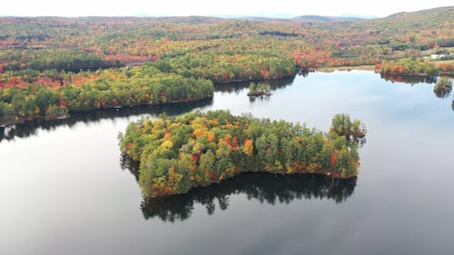 Changing Colors Of The Tree Leaves In Autumn