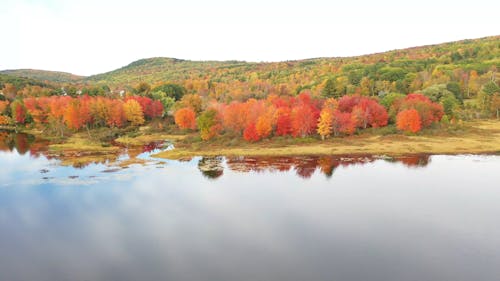 Alberi Di Autunno Ai Piedi Di Una Montagna E In Riva Al Lago