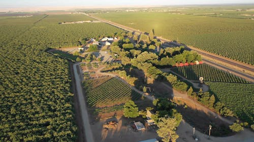 Aerial View Of A Plantation