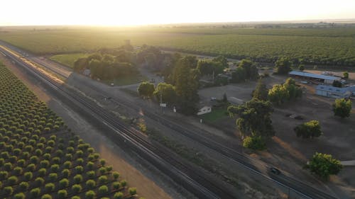 公路穿过杏仁树种植园