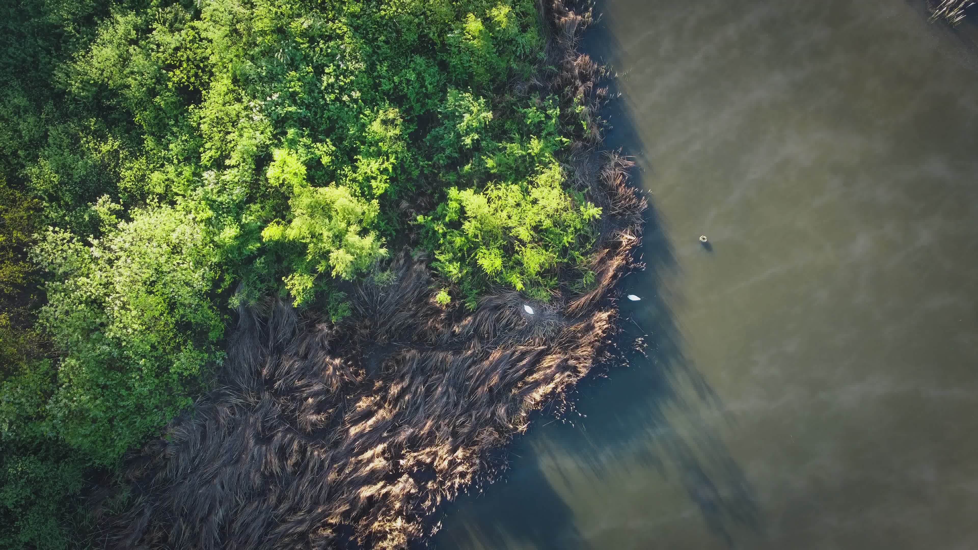 Aerial View of Verdant Riverside Scenery Free Stock Video Footage ...