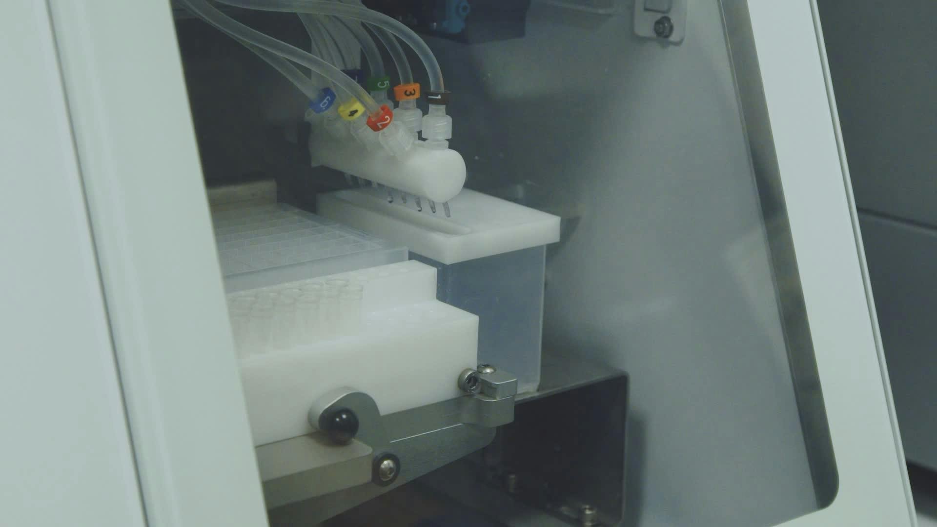 Video by Dominik Zítka