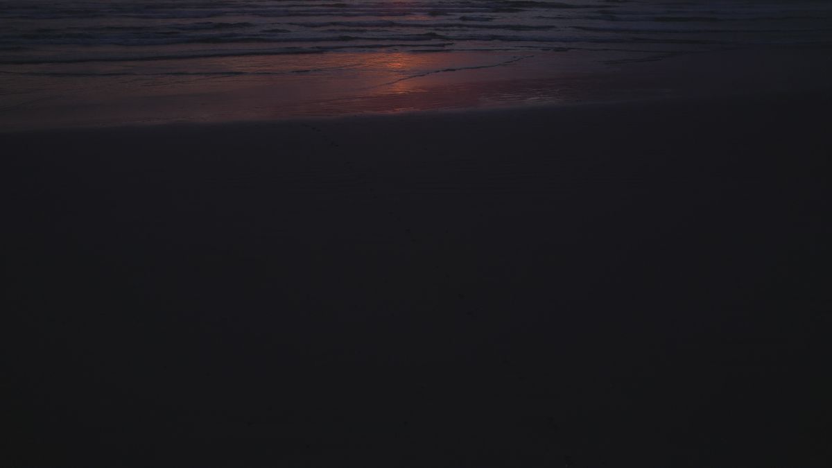 Serene Beach Sunset with Gentle Waves Free Stock Video Footage, Royalty ...