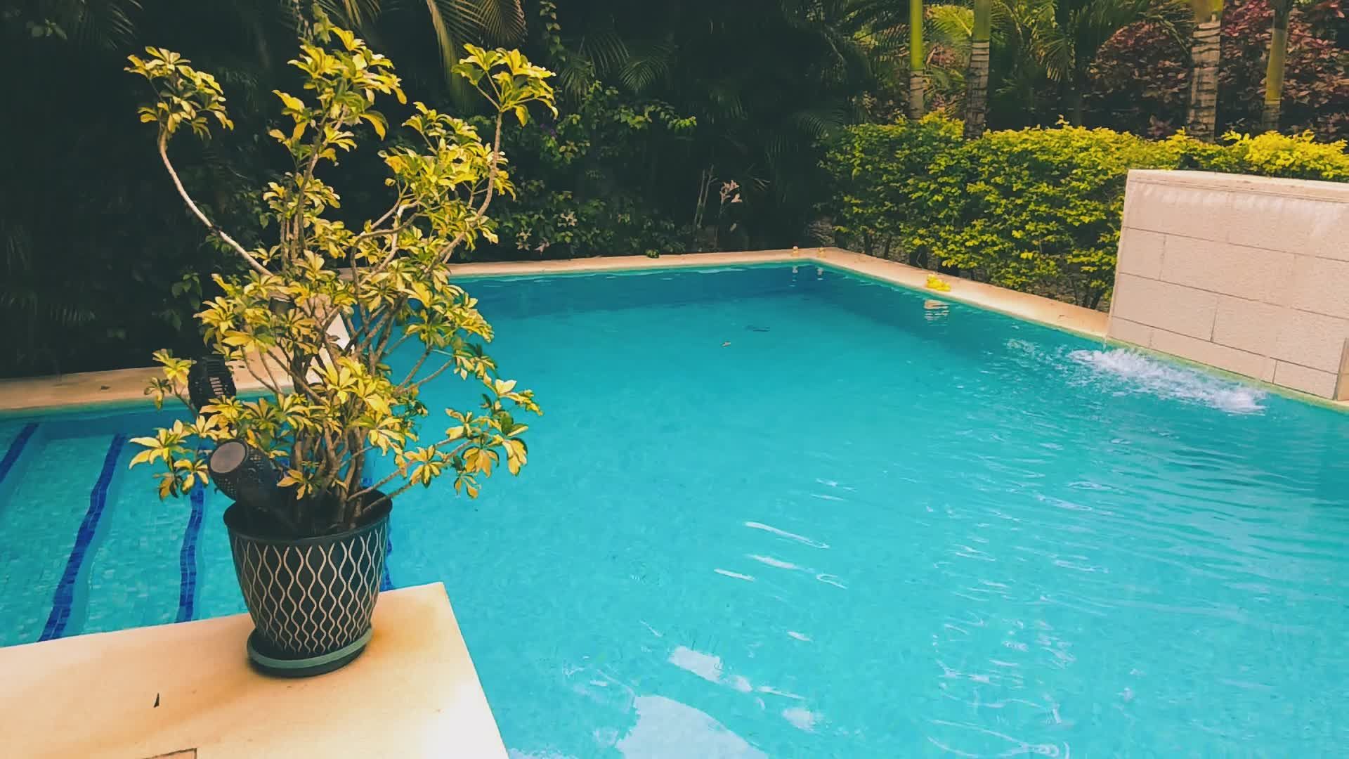 Swimming Pool Contractor video