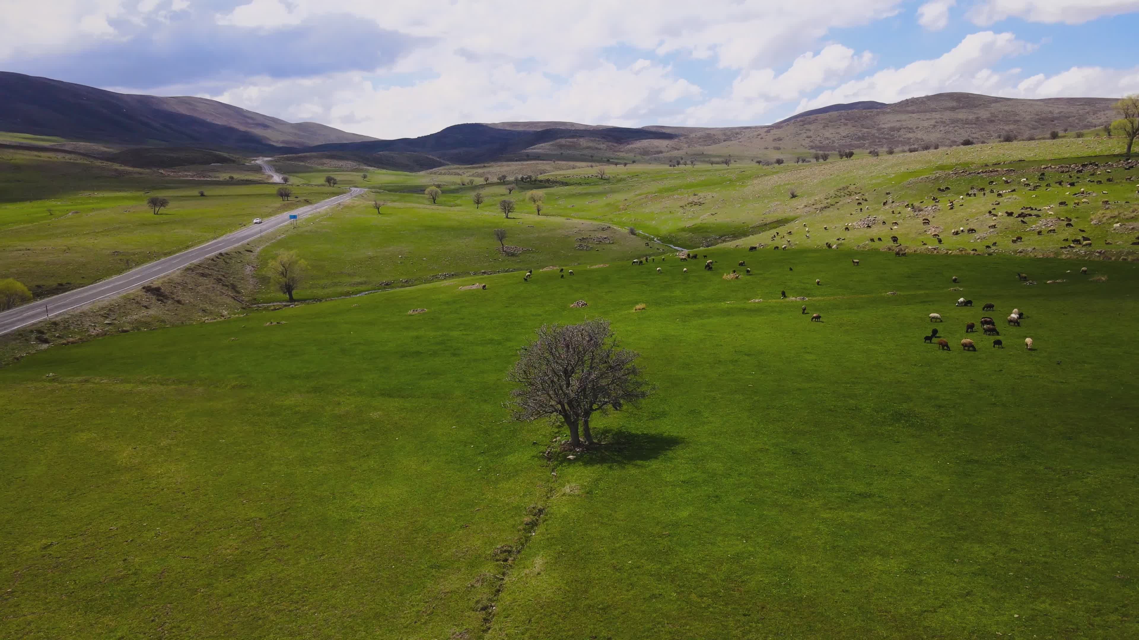 Scenic Aerial View of Lush Countryside Landscape Free Stock Video ...