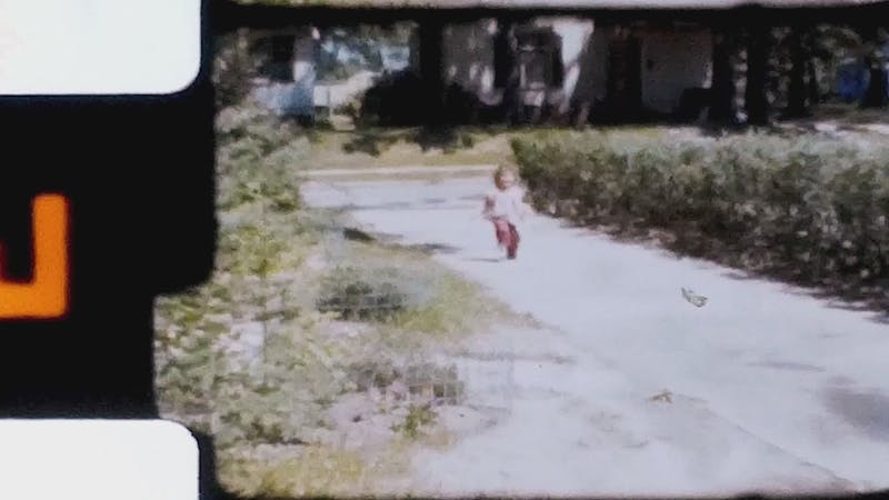 Doggie+Style+Facing+Camera Videos, Download The BEST Free 4k Stock