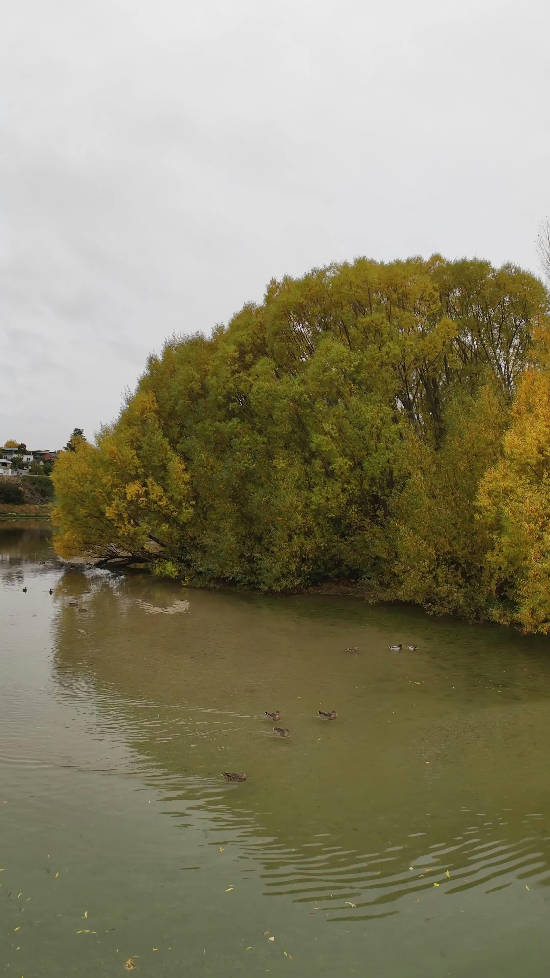 Mood Changes Videos Download The Best Free 4k Stock Video Footage