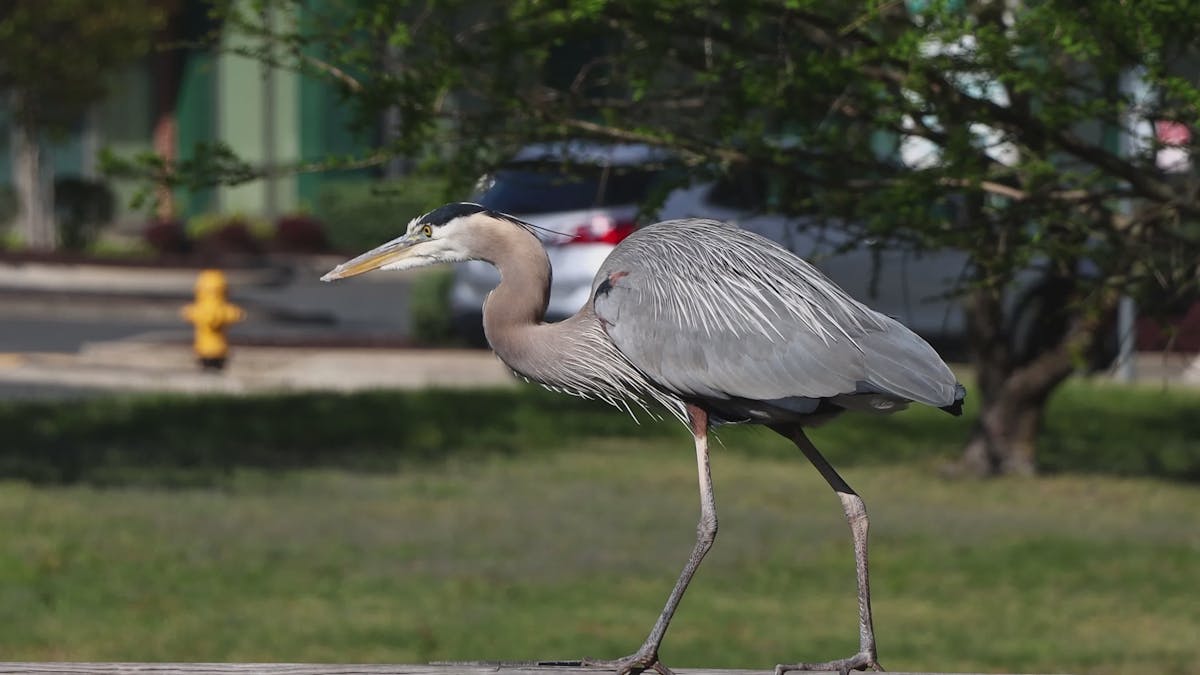 Indian Swx Video Videos Download The BEST Free 4k Stock Video Footage