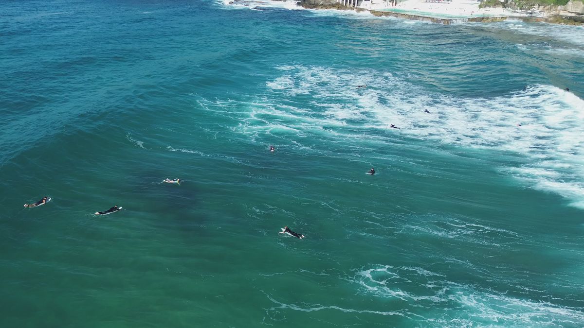 Aerial View of Surfers Riding Ocean Waves Free Stock Video Footage ...