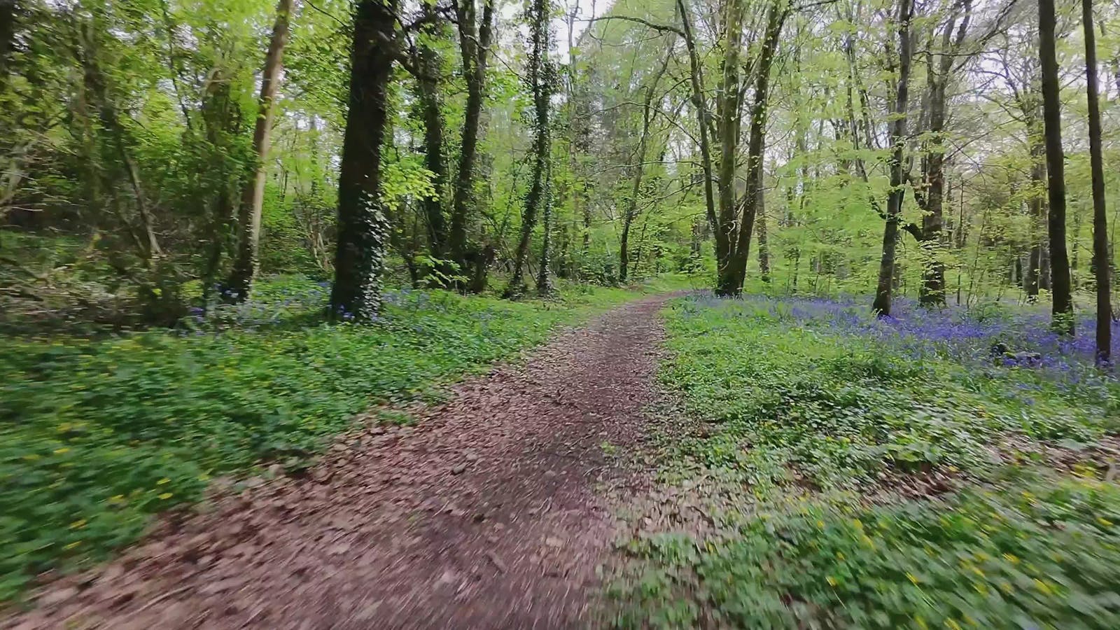 Fry99+Videos Videos, Download The BEST Free 4k Stock Video Footage