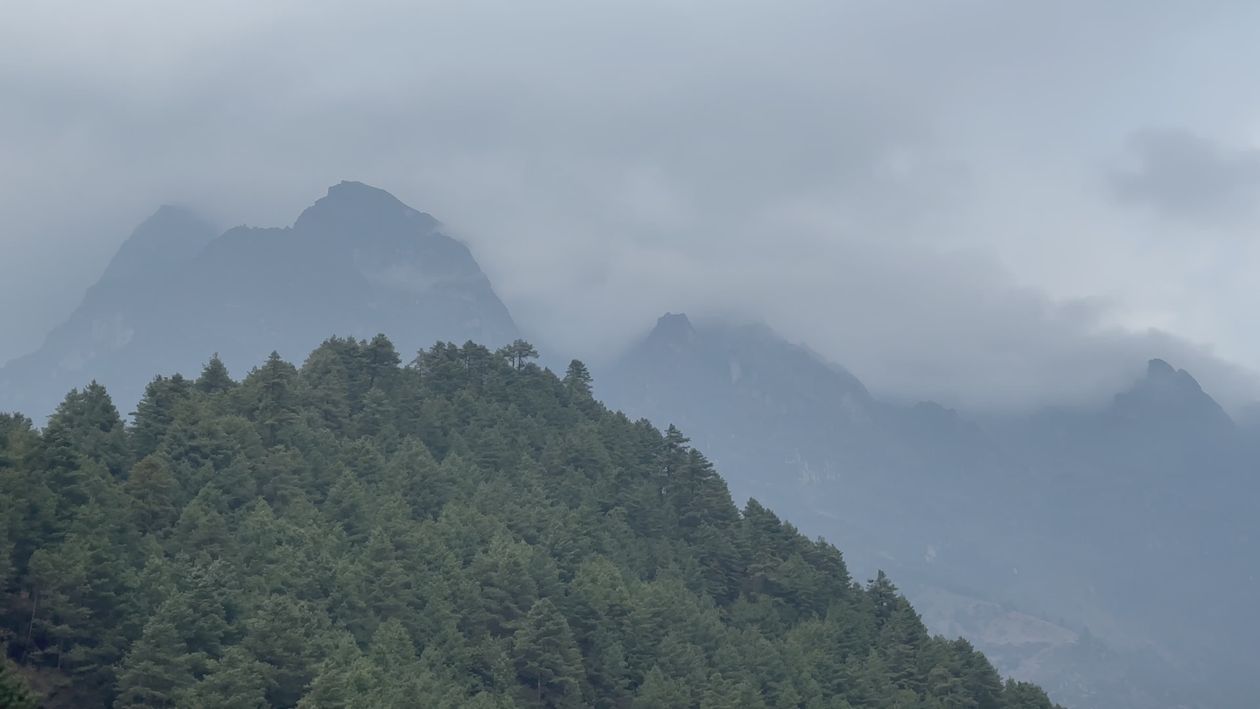 Misty Mountain Landscape with Pine Forest Free Stock Video Footage ...