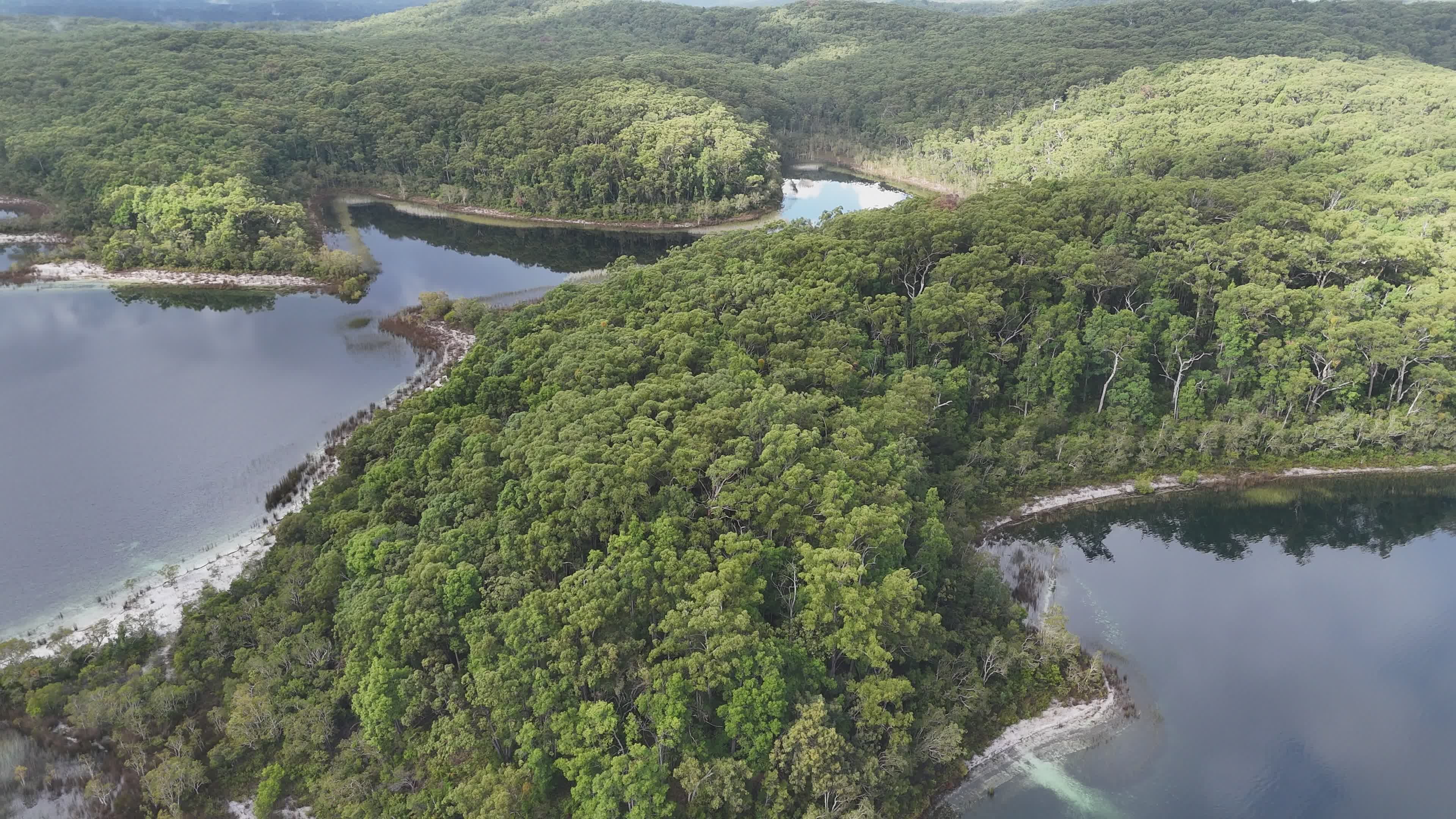Serene Aerial View of Lush Forest Landscape Free Stock Video Footage ...