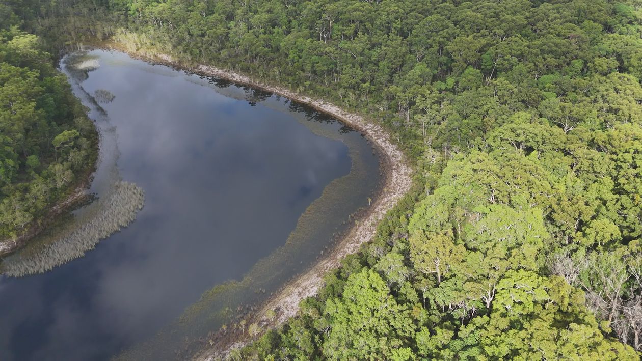 Aerial View of Serene Forest Lake Landscape Free Stock Video Footage ...
