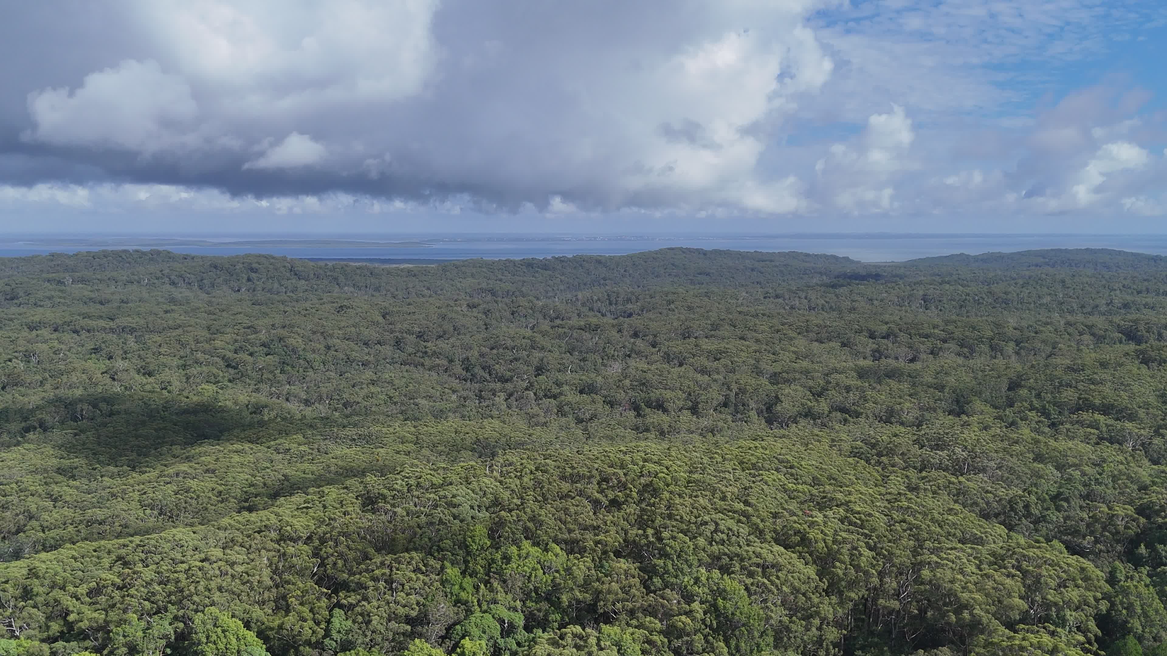 Aerial View of Lush Forest and Beach Free Stock Video Footage, Royalty ...