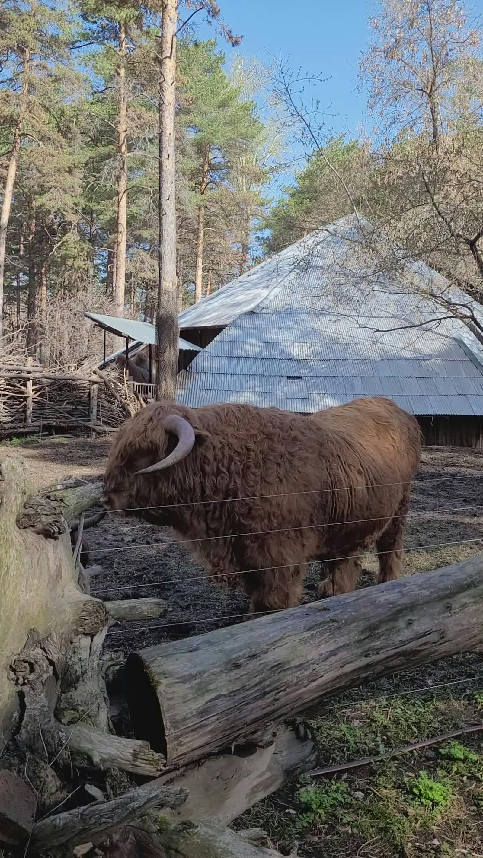 Four+Girls+Finger+Paint+Original Videos, Download The BEST Free 4k