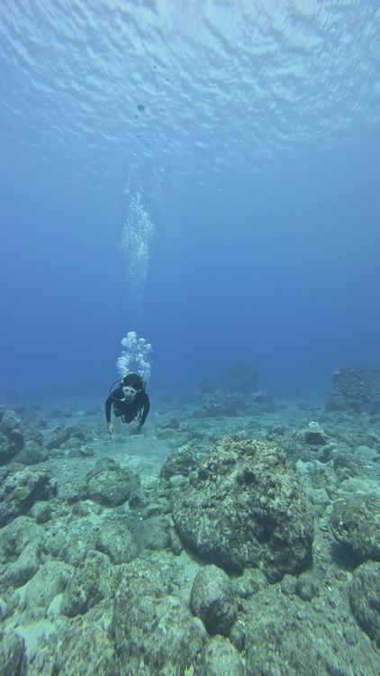 Scuba Diver Exploring a Vibrant Coral Reef Free Stock Video Footage ...