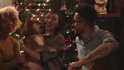 Recording Video Footage Of A Group Of People Admiring A Pet Dog