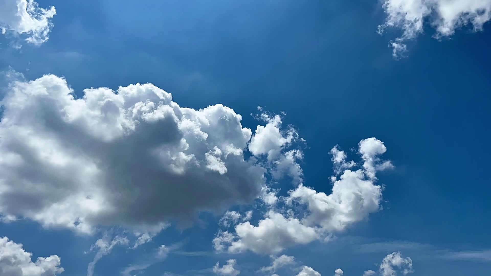 Video by Raj  Bala