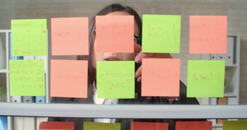 Woman Reading The Sticky Notes 