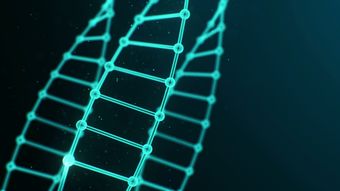 Dna
