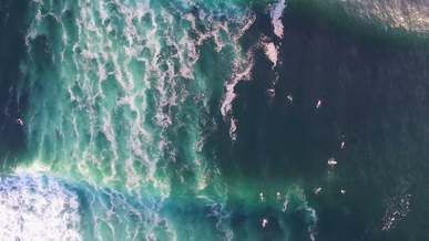 surfers out in the sea riding waves