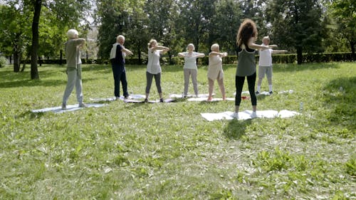 Group Of Elderly People Exercising In A Park