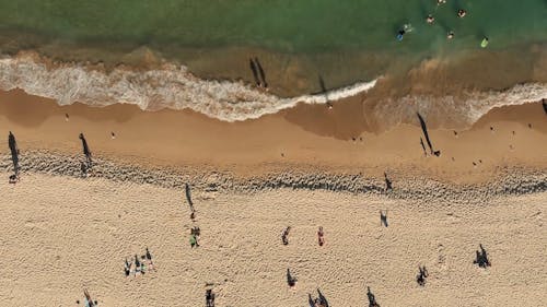 People Enjoying The Beach On A Sunny Day