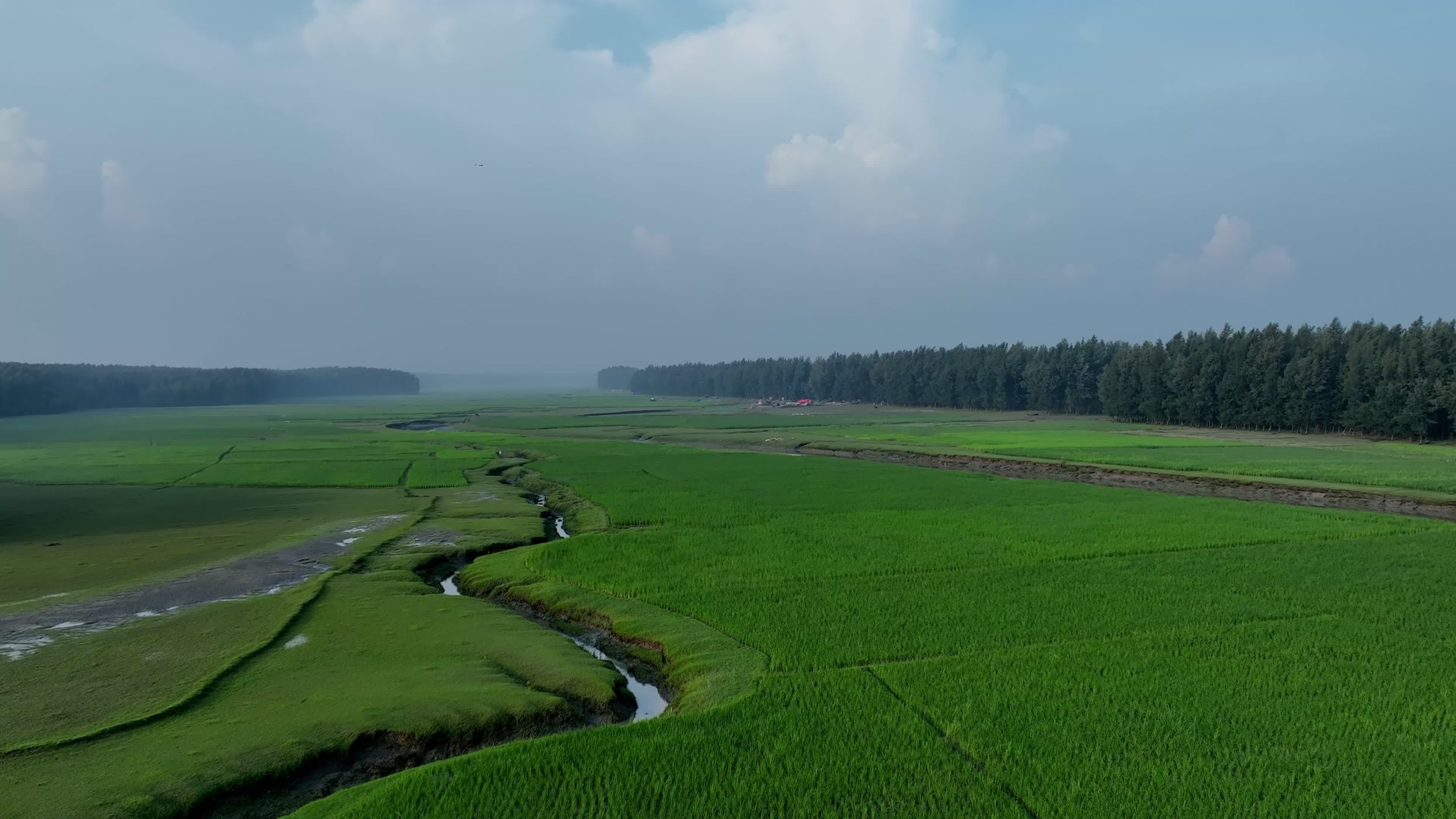 Scenic Aerial View of Lush Green Fields Free Stock Video Footage ...