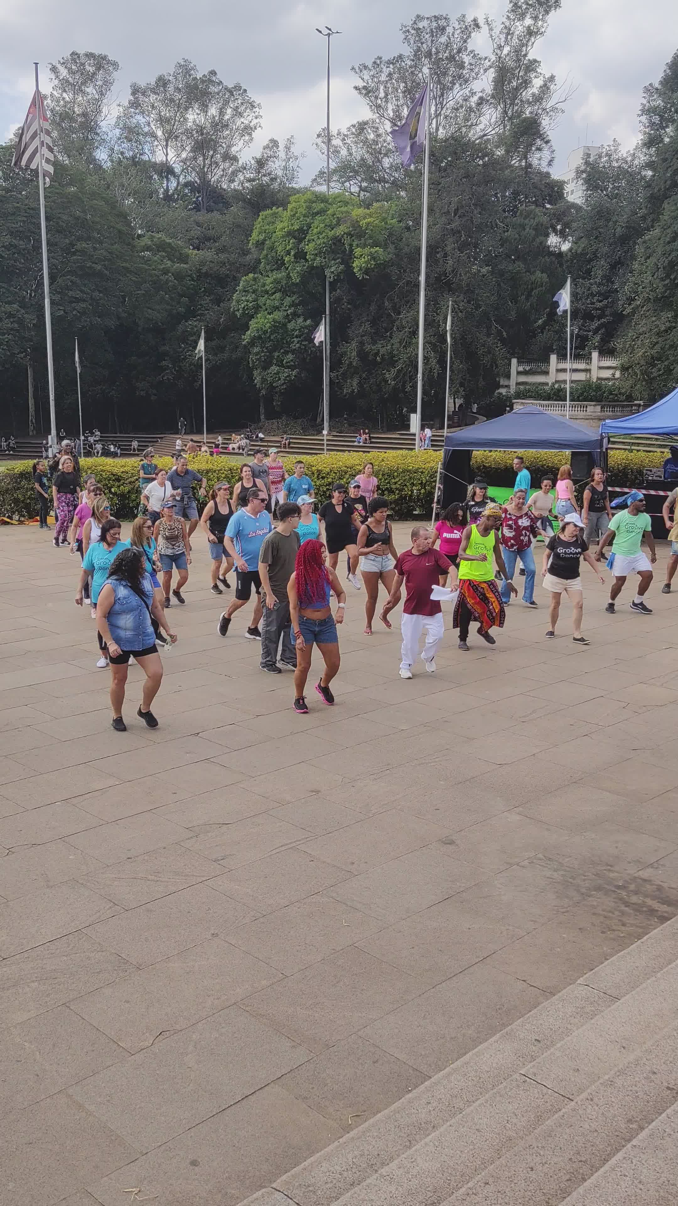 Baile Grupal Al Aire Libre En El Parque De La Ciudad · Vídeo de stock ...